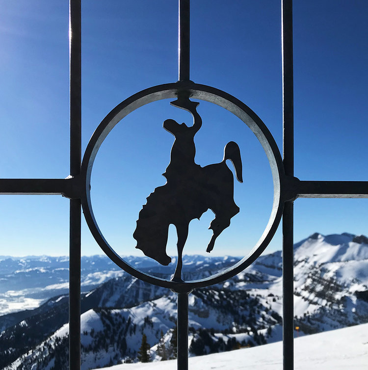 fenc with cut out of a jackson whole cowboy , mountains in the background