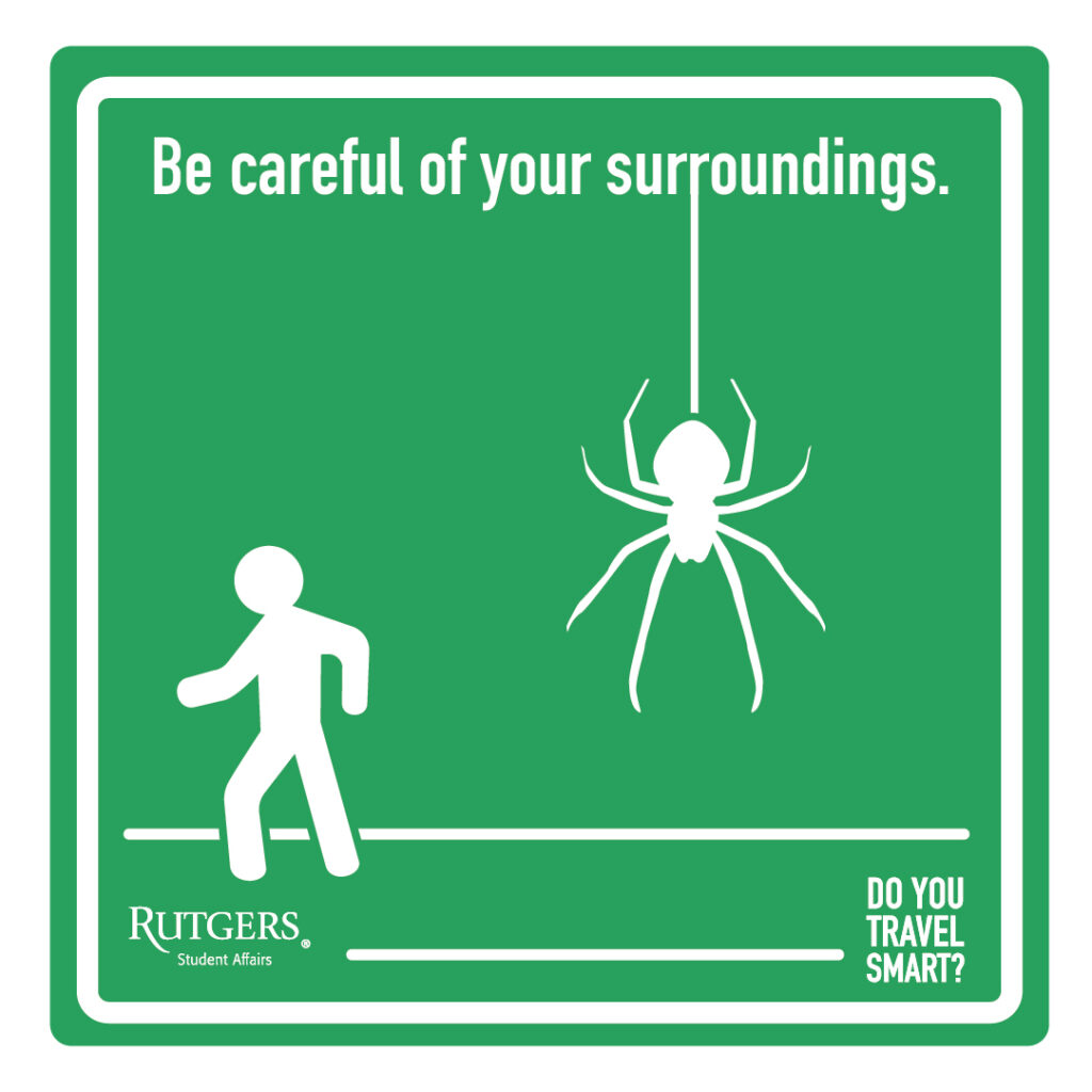 be carefule of your surroundings with a spider